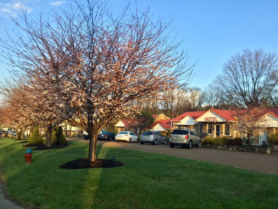 Carolina Country Inn - thumb 21
