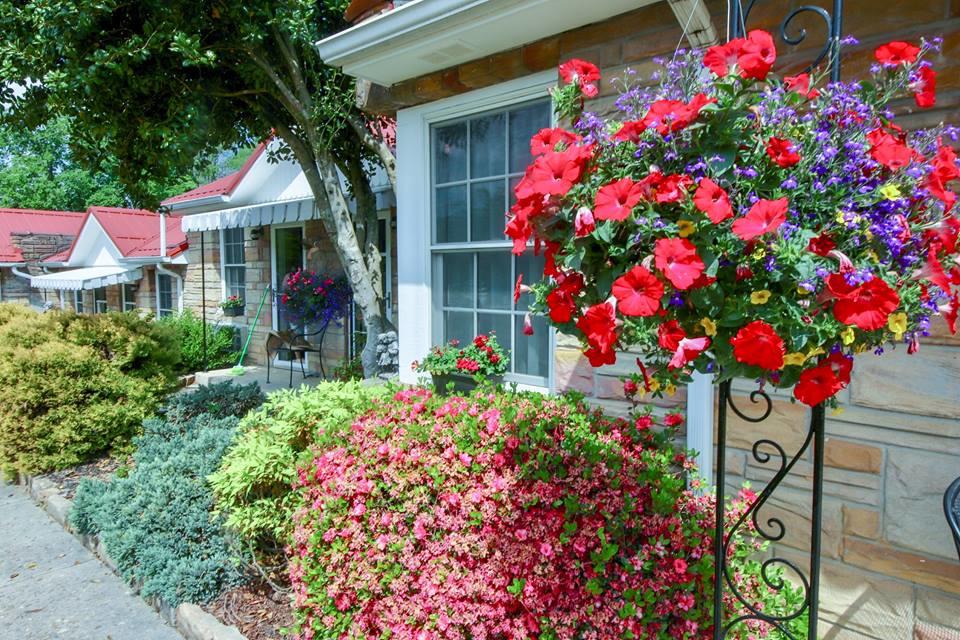 Carolina Country Inn - thumb 19