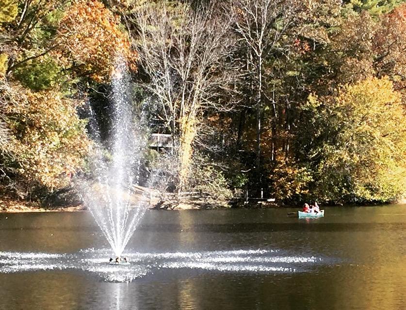 Mill House Lodge - Flat Rock - thumb 19