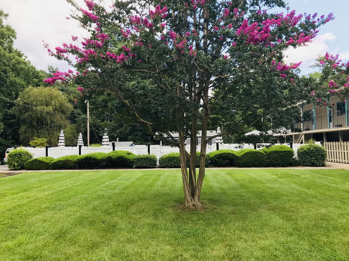 Mill House Lodge - Flat Rock - thumb 18