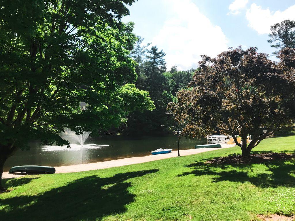 Mill House Lodge - Flat Rock - thumb 6