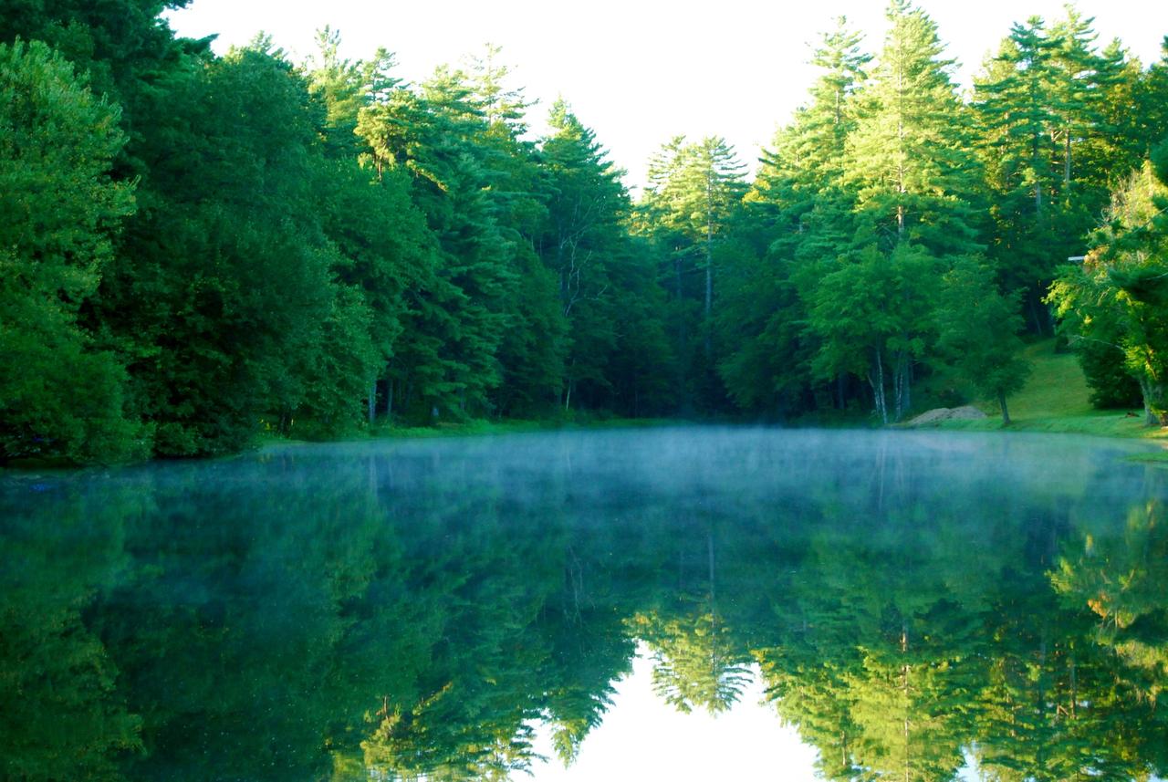 Mill House Lodge - Flat Rock - thumb 21