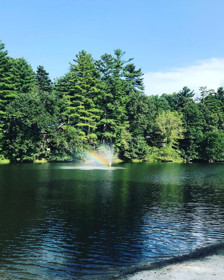 Mill House Lodge - Flat Rock - thumb 20