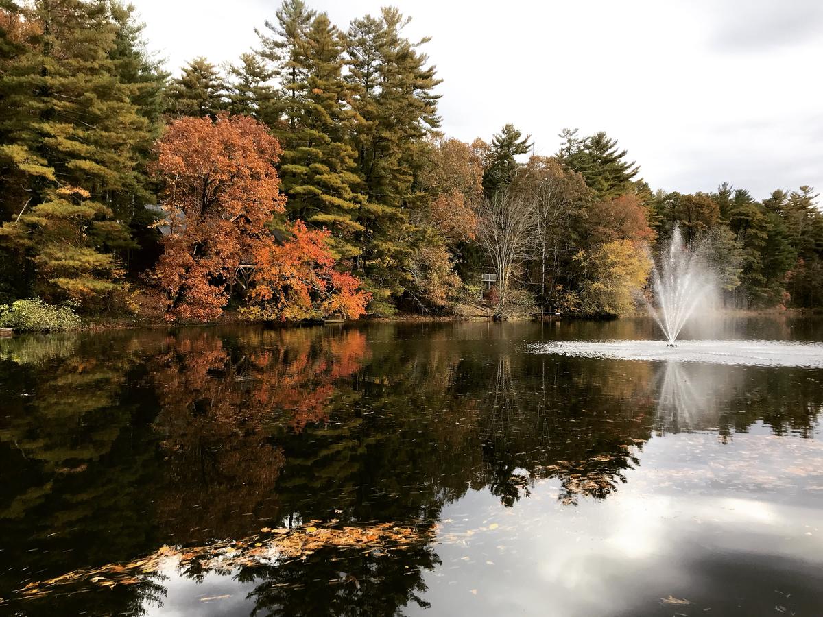 Mill House Lodge - Flat Rock - thumb 14