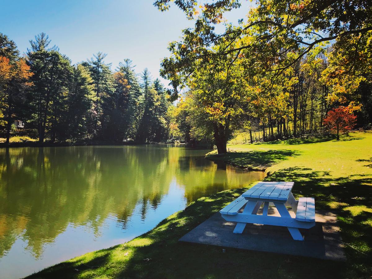 Mill House Lodge - Flat Rock - thumb 10