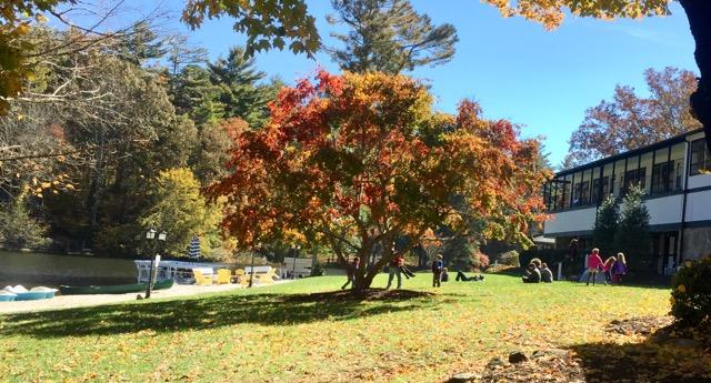 Mill House Lodge - Flat Rock - thumb 15