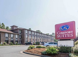 Comfort Suites Boone - University Area