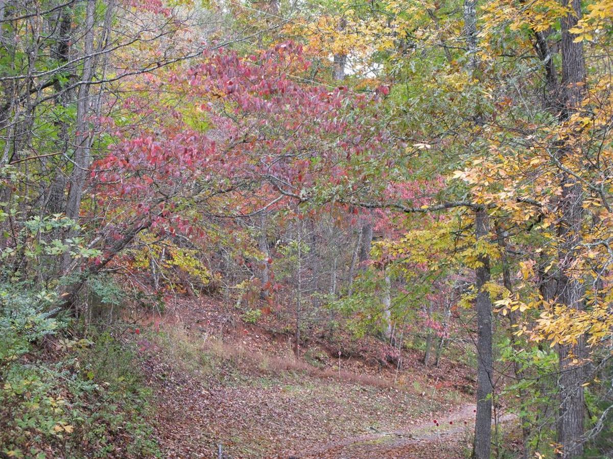 A Little Slice Of Smokey Mountain Heaven With Wifi - thumb 12