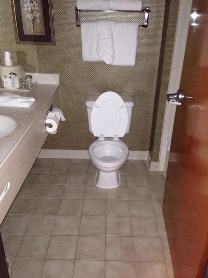 Wingate By Wyndham - Greenville - thumb 14