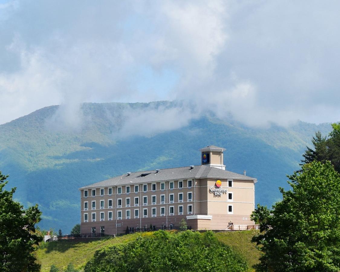 Comfort Inn Sylva - Cullowhee - thumb 35