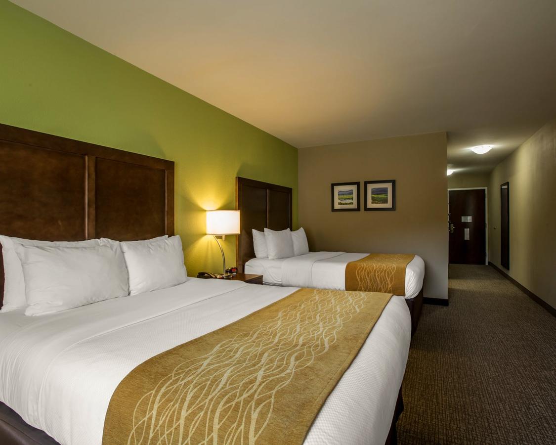 Comfort Inn Sylva - Cullowhee - thumb 28