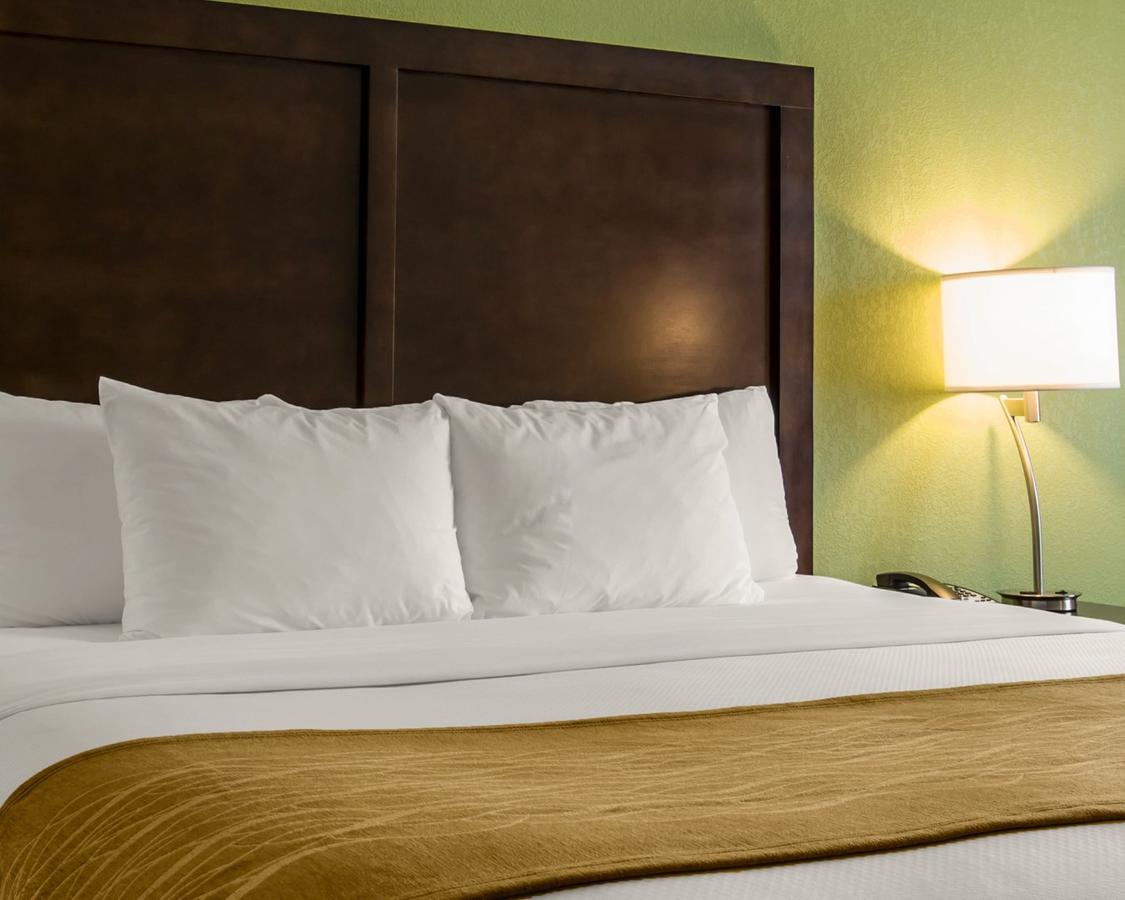 Comfort Inn Sylva - Cullowhee - thumb 33