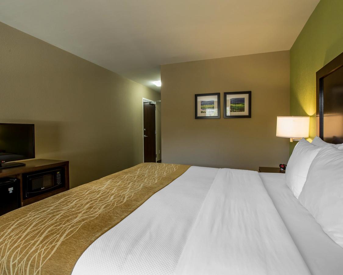 Comfort Inn Sylva - Cullowhee - thumb 32