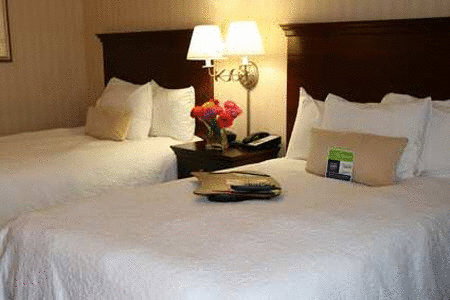 Hampton Inn Rocky Mount - thumb 2