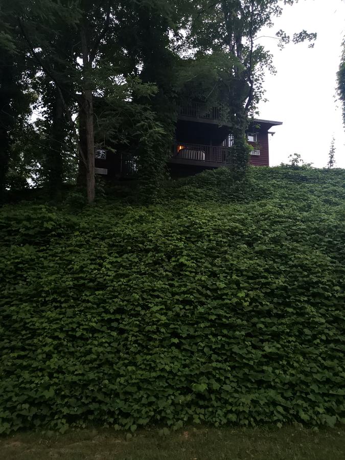 Nantahala Village - thumb 30