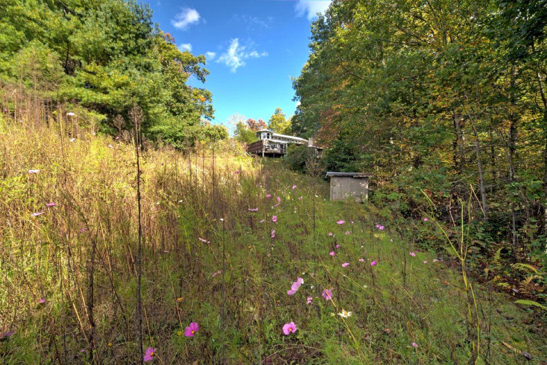 Wildflower Mountain Cottage - thumb 1