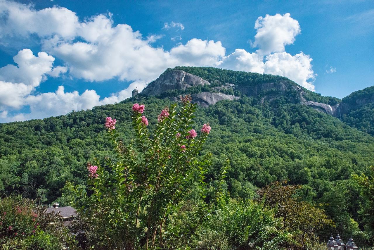 Chimney Rock Manor - thumb 2