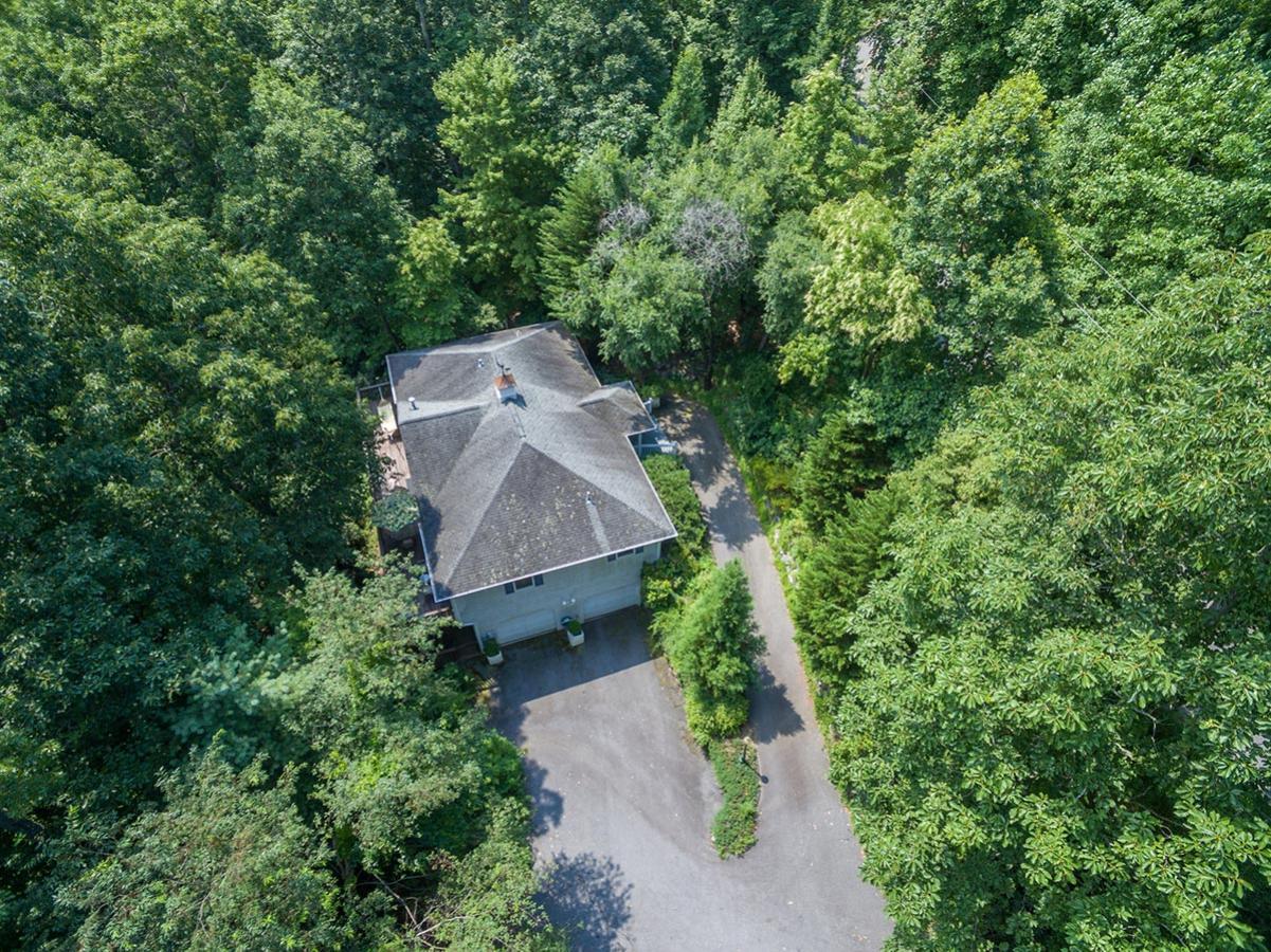 Alta Vista - thumb 9