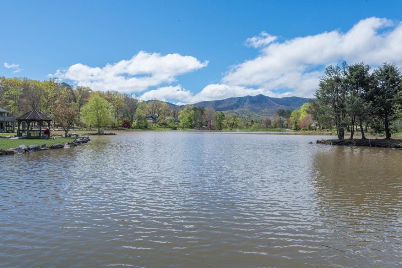 Alta Vista - thumb 34