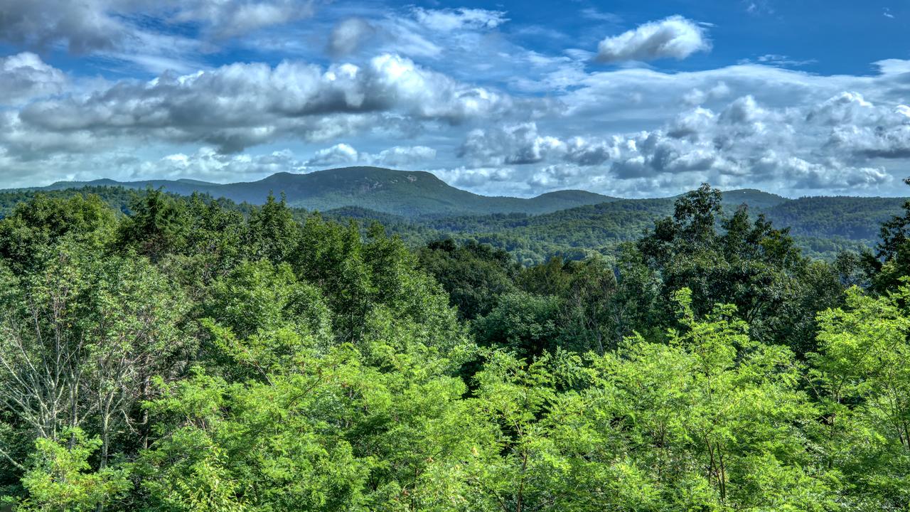 The Frog Pond House - thumb 3