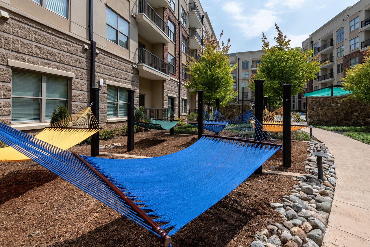 Stay Alfred On Trade Street - thumb 18