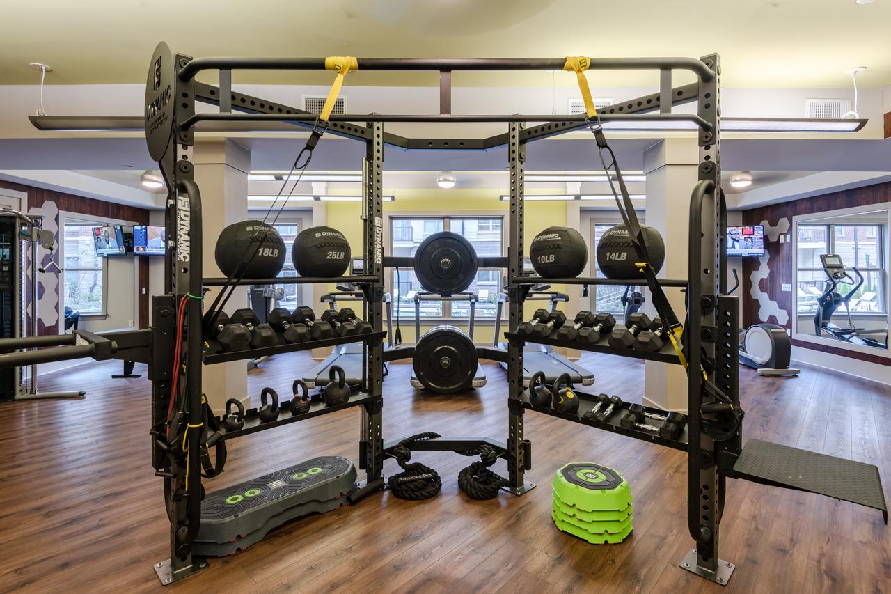 Stay Alfred On Trade Street - thumb 37