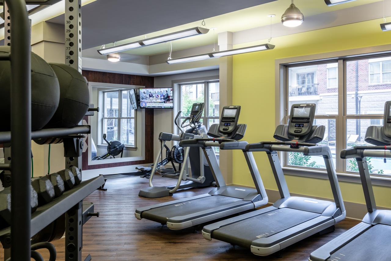 Stay Alfred On Trade Street - thumb 4