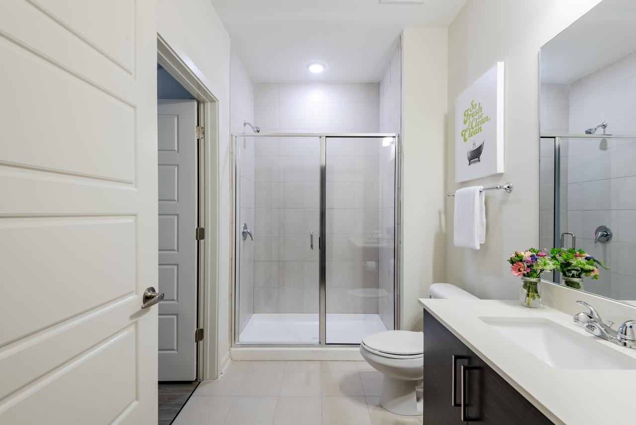 Stay Alfred On Trade Street - thumb 34