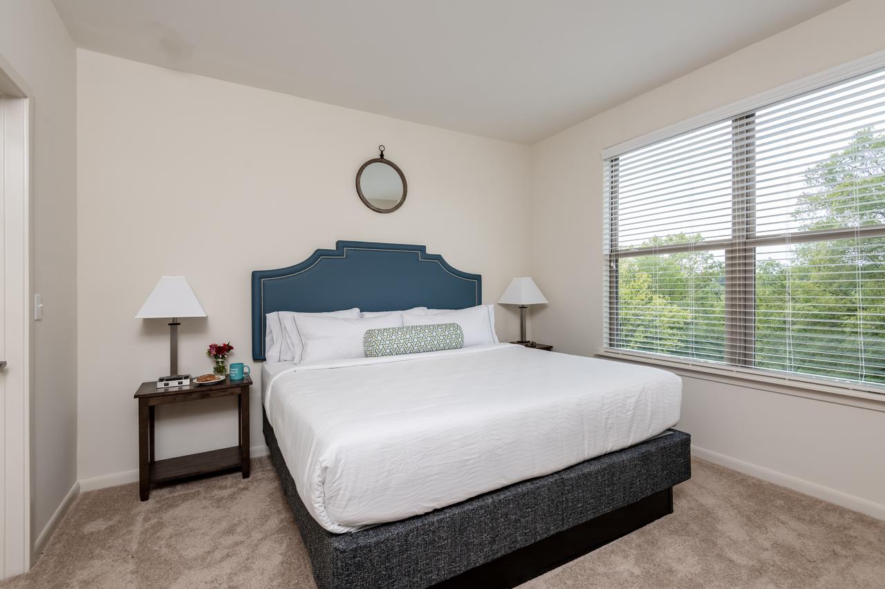 Stay Alfred On Trade Street - thumb 5