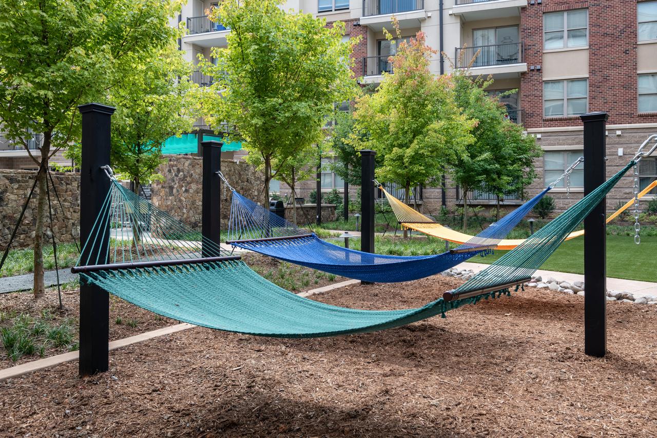 Stay Alfred On Trade Street - thumb 19