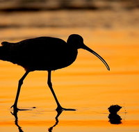 It's Not Too Late! Grab Your Last Second Beach Vacay NOW! - USA Accommodation