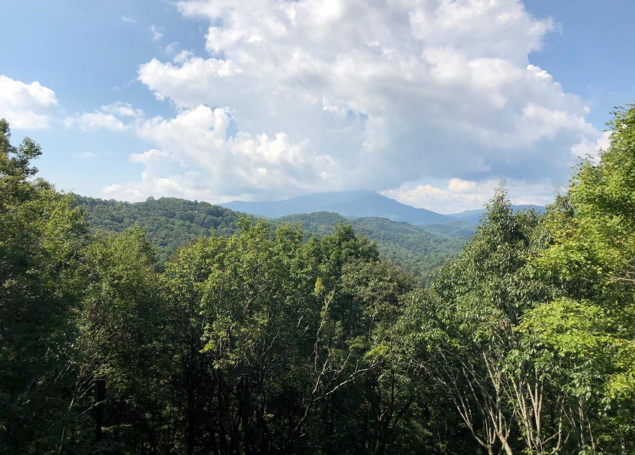 The Last Resort - thumb 8