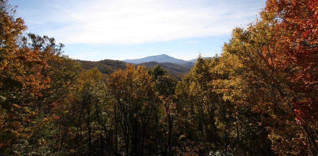 The Last Resort - thumb 21