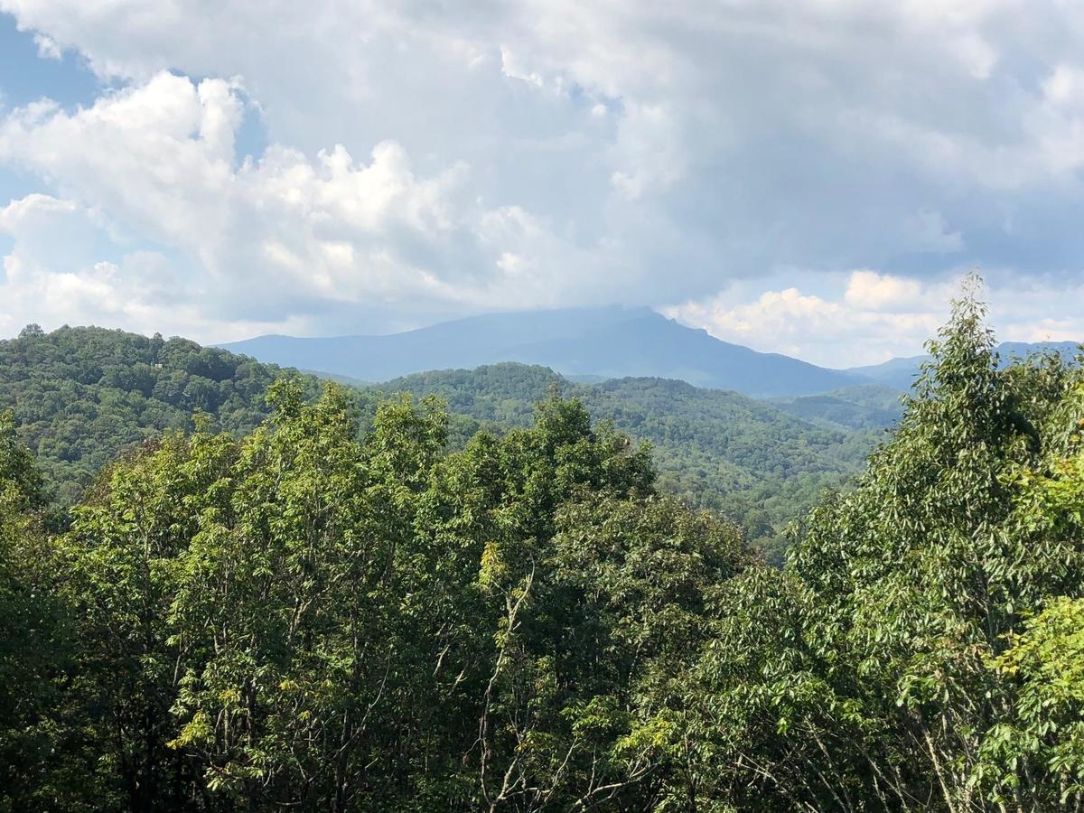 The Last Resort - thumb 5