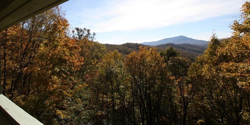 The Last Resort - thumb 34