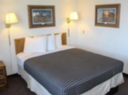Economy Hotel Minot