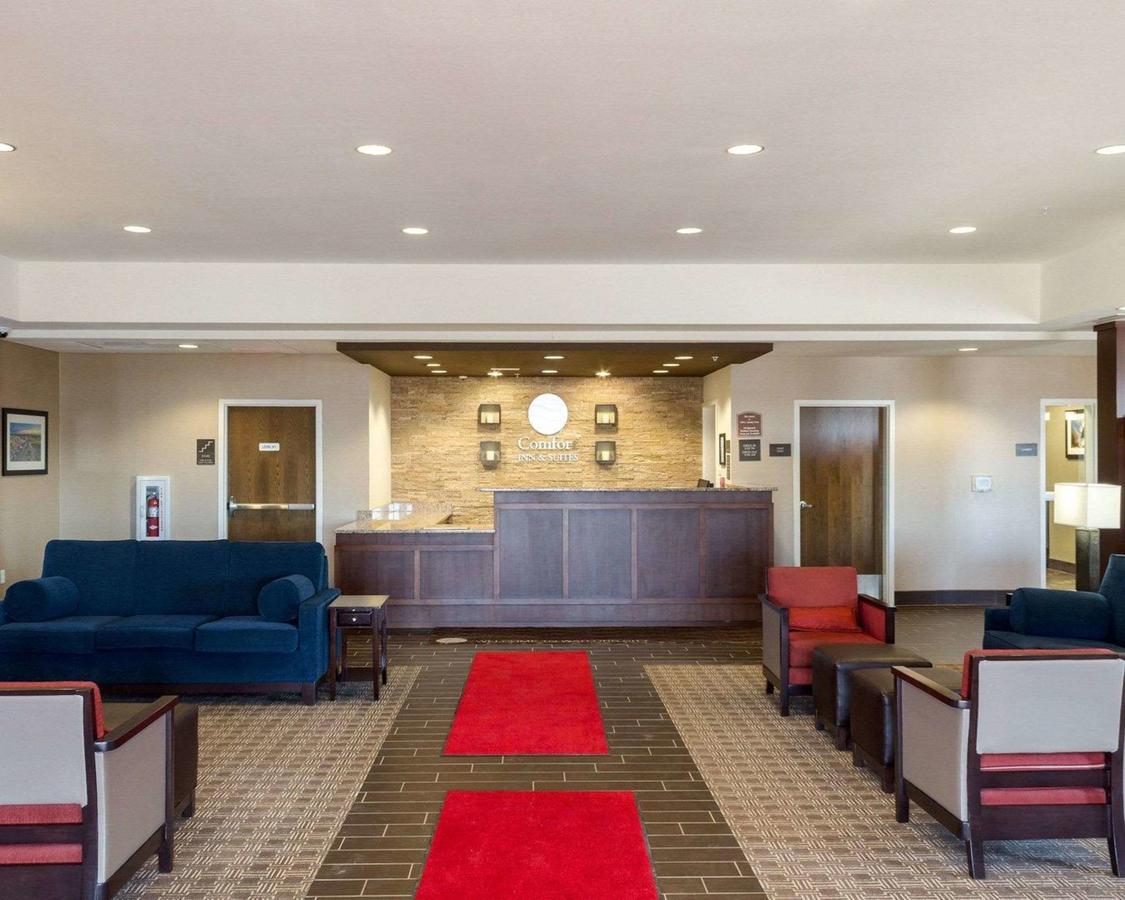 Comfort Inn & Suites Watford City - thumb 3