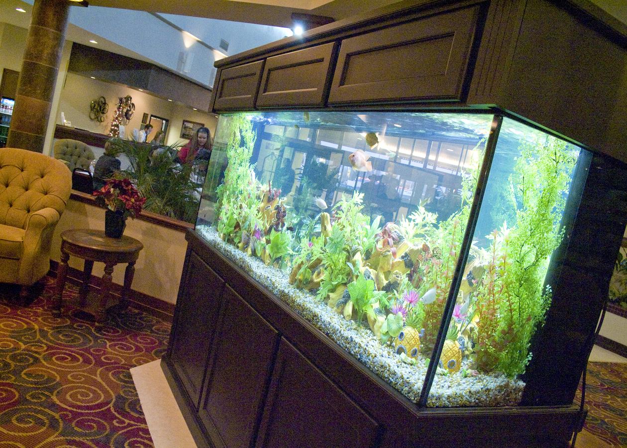 Howard Johnson By Wyndham Lima - thumb 19