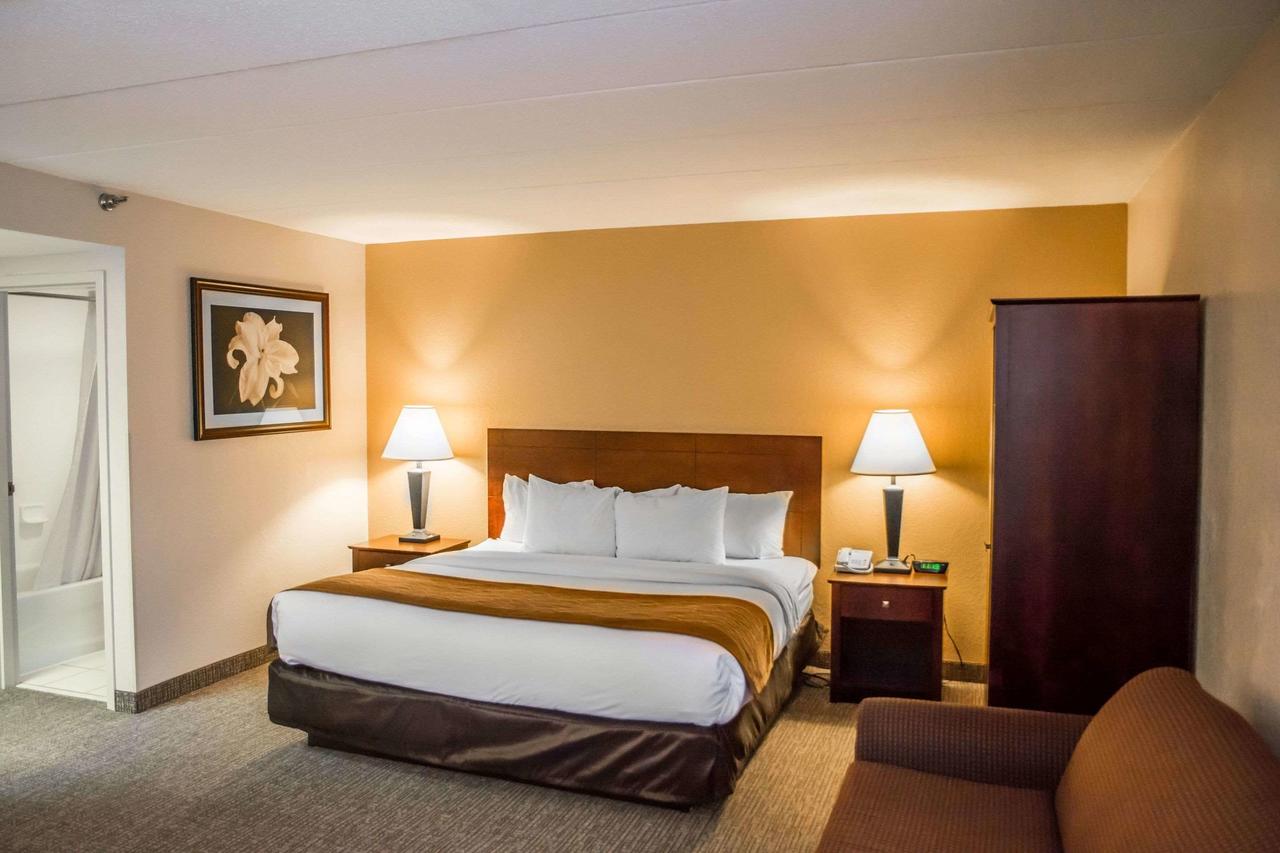 Comfort Inn Northeast Cincinnati - thumb 12