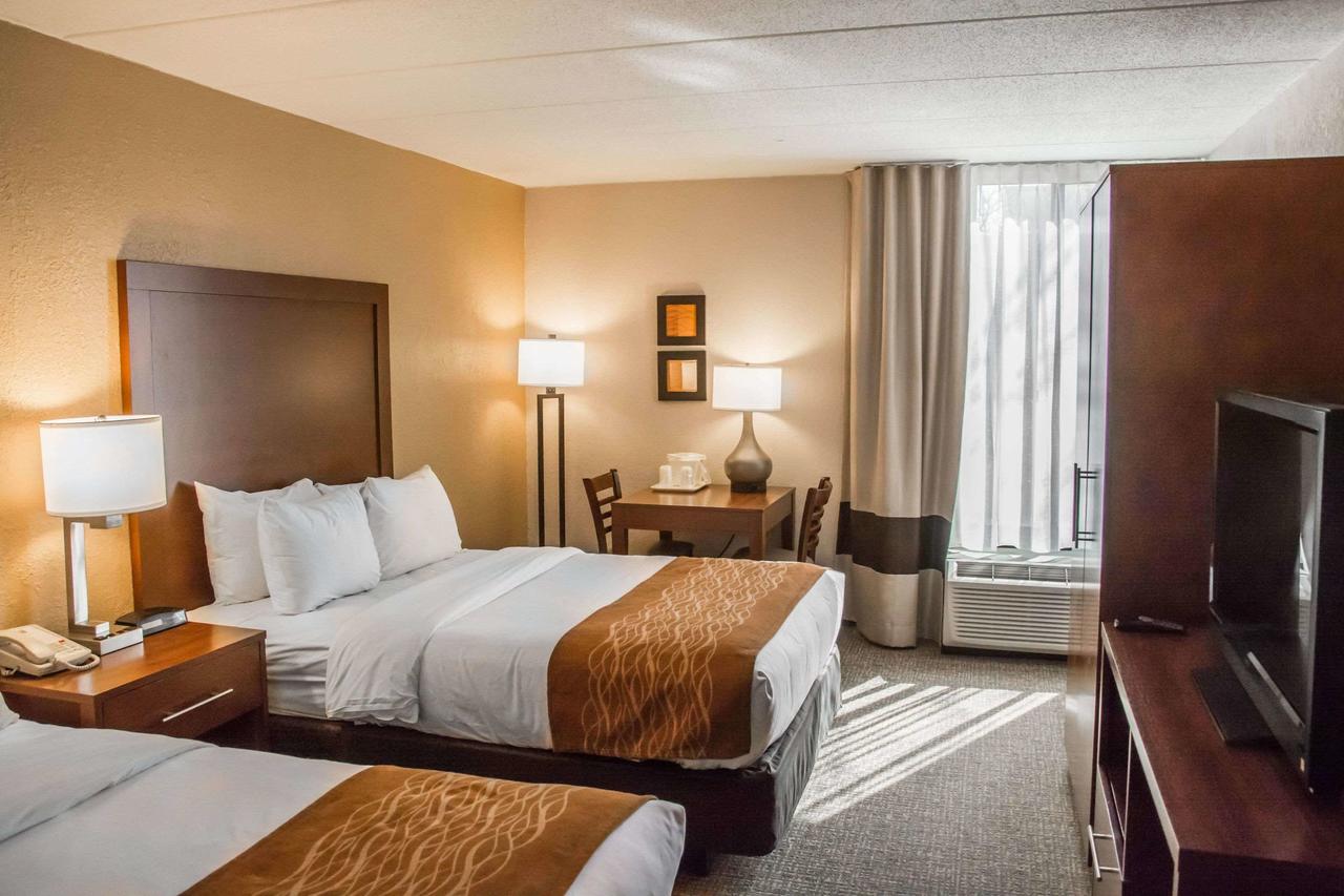 Comfort Inn Northeast Cincinnati - thumb 25