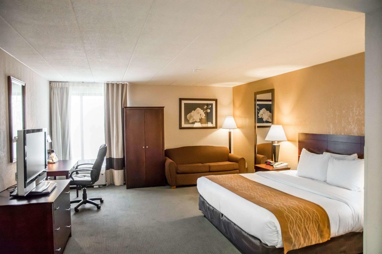 Comfort Inn Northeast Cincinnati - thumb 16