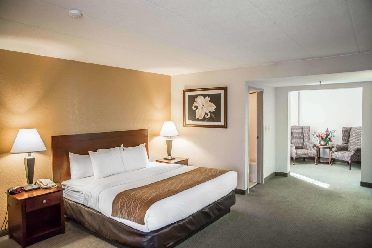 Comfort Inn Northeast Cincinnati - thumb 15