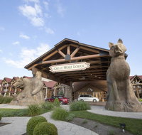Great Wolf Lodge Mason - Tourism Bookings