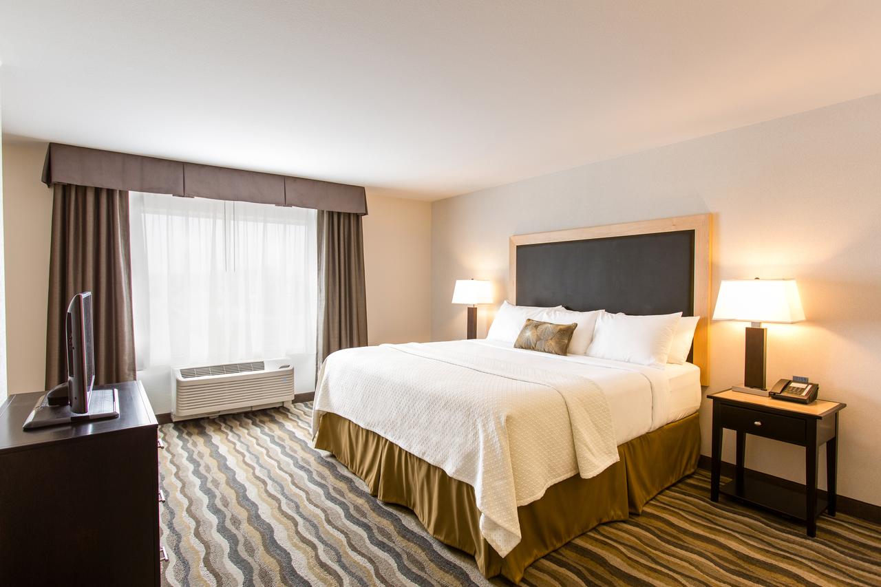 Cambria Hotel Cleveland Avon - thumb 22