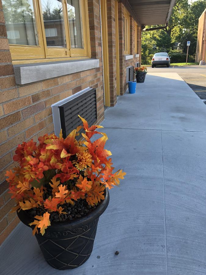 Wolf Inn Hotel - thumb 9