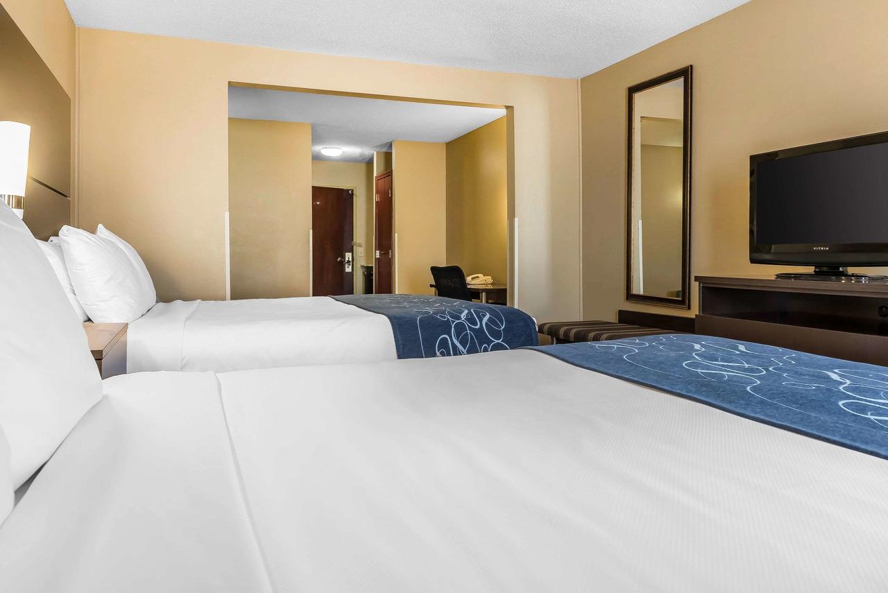 Comfort Suites Miamisburg - Dayton South - thumb 3