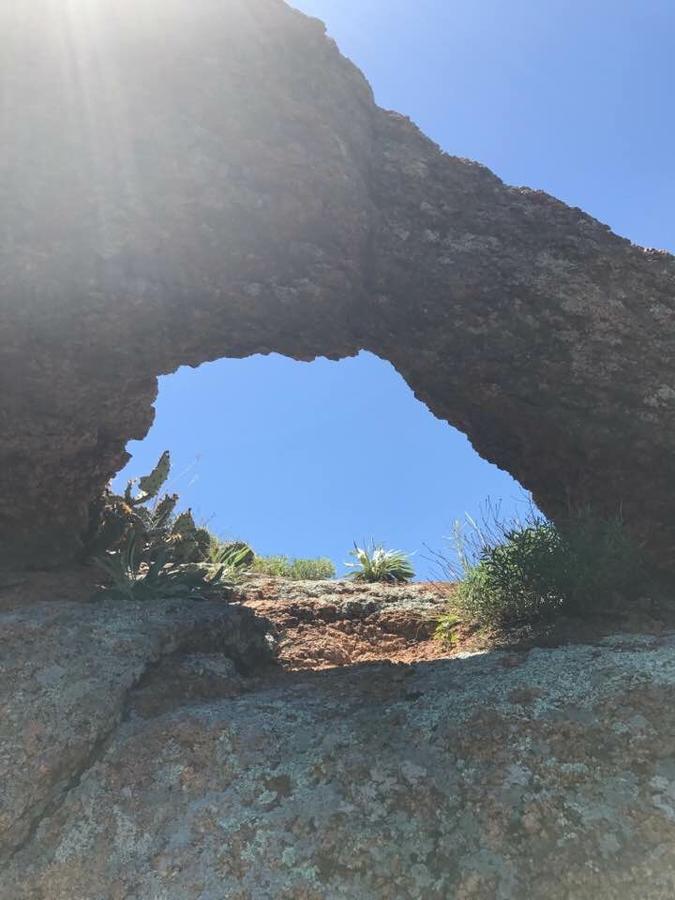 Blue Eyed Coyote BnB - thumb 16