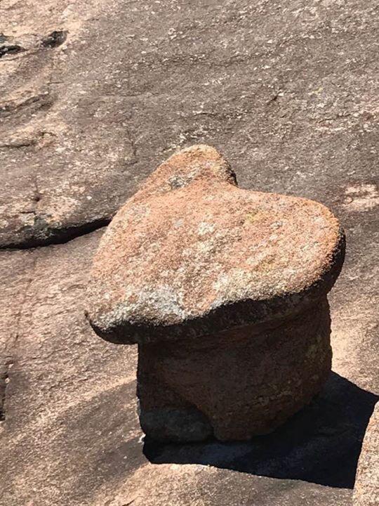 Blue Eyed Coyote BnB - thumb 17