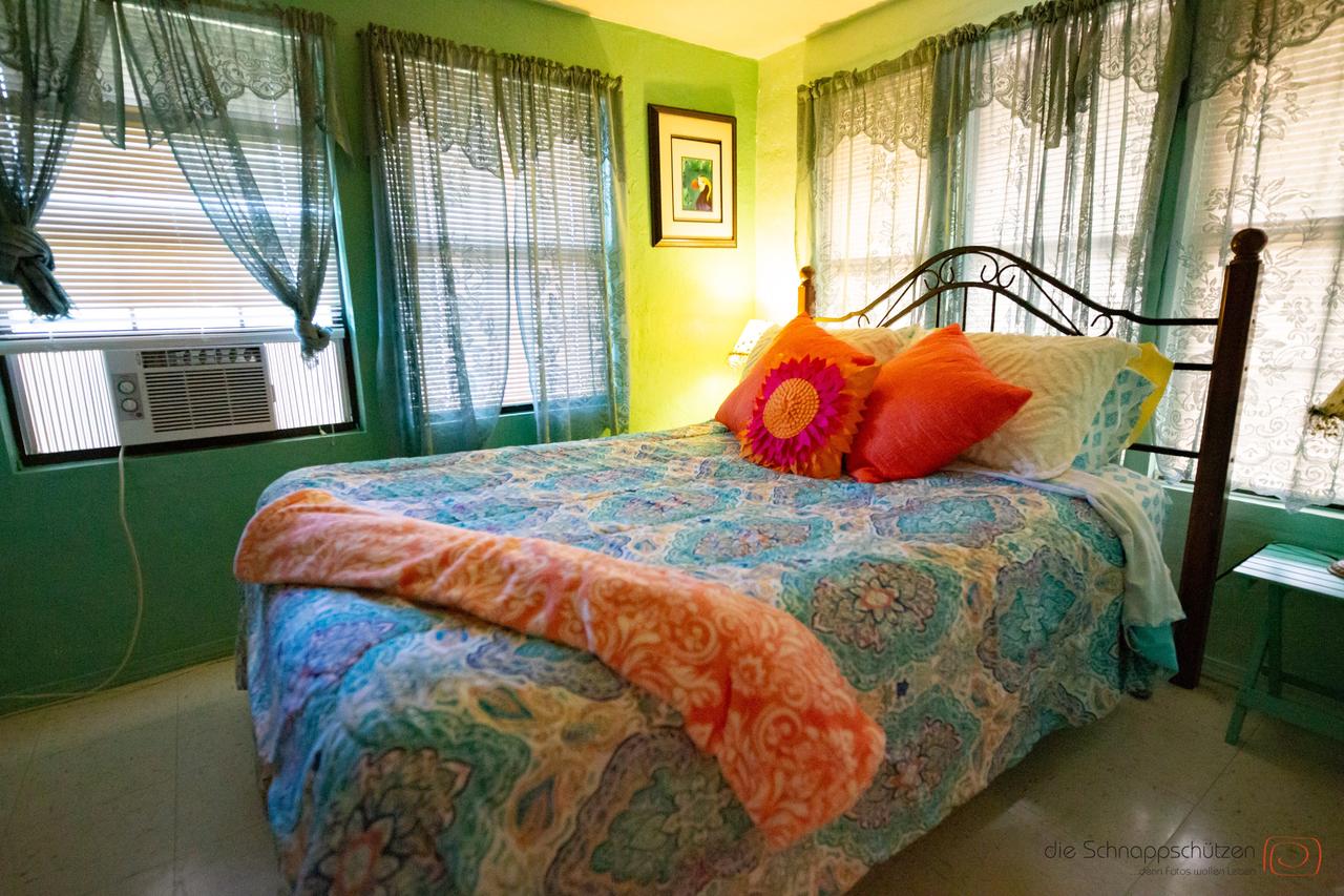 Blue Eyed Coyote BnB - thumb 3