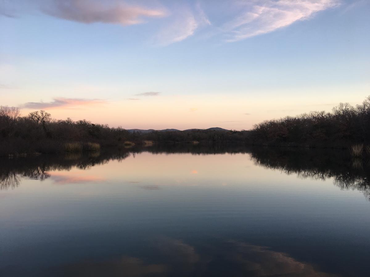 Blue Eyed Coyote BnB - thumb 25